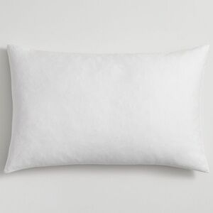 Pottery Barn pillow insert
